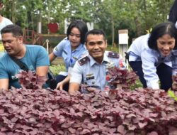 Danlanud Lakukan Panen Raya, Feri : Pemanfaatan Lahan Taman I Love RSN