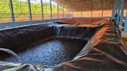 WALHI Malut Dituding Lecehkan Martabat Warga Kawasi, Jangan Giring Opini Negatif