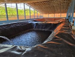 WALHI Malut Dituding Lecehkan Martabat Warga Kawasi, Jangan Giring Opini Negatif