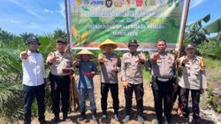 Dukung Ketahanan Pangan, Polsek Bukit Kapur Tanam Jagung di Lahan Seluas 1,5 Hektar