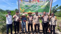 Dukung Ketahanan Pangan, Polsek Bukit Kapur Tanam Jagung di Lahan Seluas 1,5 Hektar
