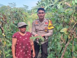 Bhabinkamtibmas Kelayang Perkuat Kedekatan dengan Warga, Dukung Ketahanan Pangan dan Jaga Kamtibmas Tetap Kondusif