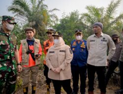 Bupati Bengkalis Kasmarni Turun langsung Ke Sungai Meranti Tinjau Karhutla Padamkan Api