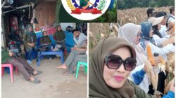 HMTN – MP Riau Kunjungi Petani Cabe, Rekrut Pengurus Yang Memiliki Pengetahuan dan Skil Menuju Ketahanan Pangan